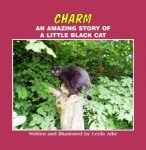 HasanovaCover-291×300